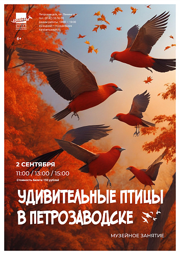 Занятие «Удивительные птицы в Петрозаводске»