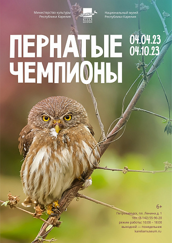 Занятие «Без рук, без топорёнка построена избёнка»
