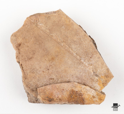 Плита шлифовальная, обломок (VIII - VI тыс. до н.э.)