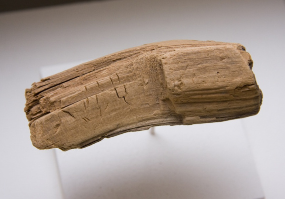 Boreal Wood (9000 years old)