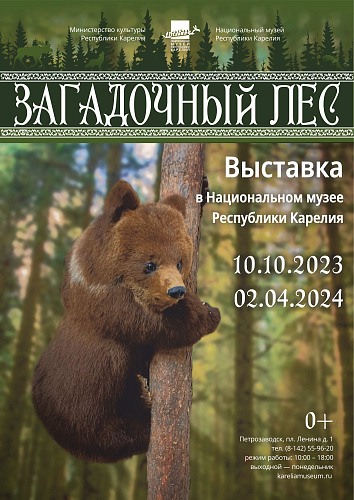 «Загадочный лес»