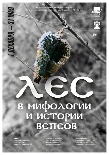 Новая выставка в Шелтозеро